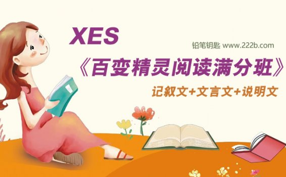 《XES百变精灵阅读满分班》小学语文阅读技巧全20讲 百度云网盘下载