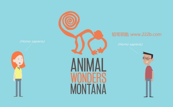 《Animal Wonders》孩子学英文涨知识系列科普视频 百度云网盘下载