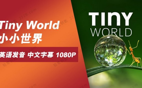 《Tiny World小小世界》第一季6集大自然科普纪录片 百度云网盘下载