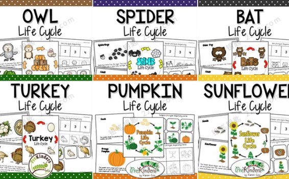 《Fall Life Cycle Science》全6册生命自然科学英文作业纸PDF 百度云网盘下载