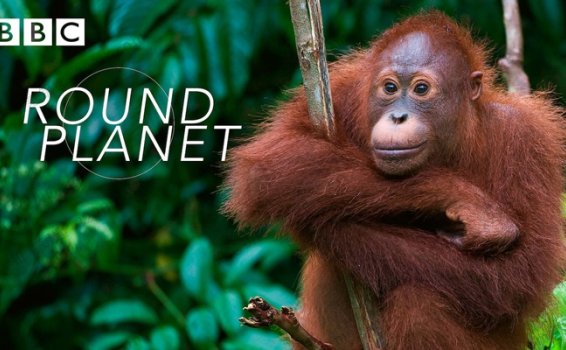 《地球生物圈Round Planet》全10集英语英字科普英文纪录片 百度云网盘下载