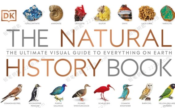 《The Natural History Book》664页博物大百科DK科普知识绘本 百度云网盘下载